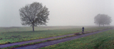 Weather