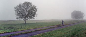 Weather and Climate