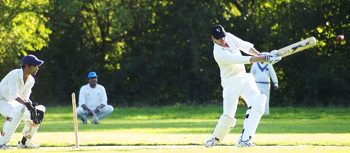 Cricket