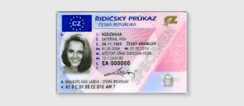 Drivers Licence
