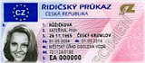 Driver Licence