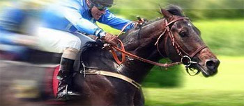 Horse Racing
